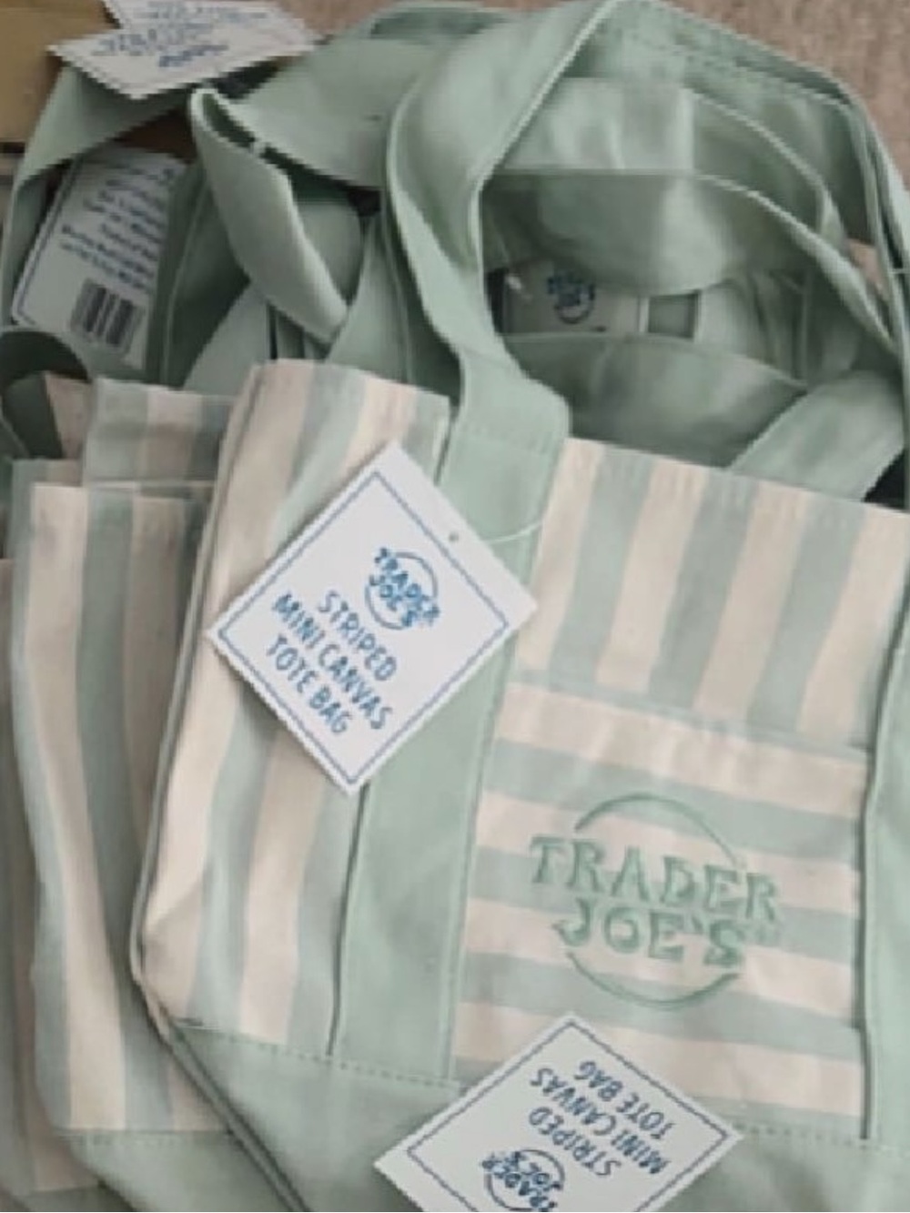 ✨Pastel Green & Cream Striped Mini Canvas Tote Bag